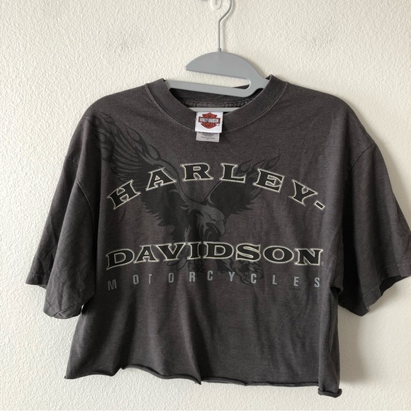 Harley-Davidson Tops - Harley Davidson | Cropped Tee bull skull design